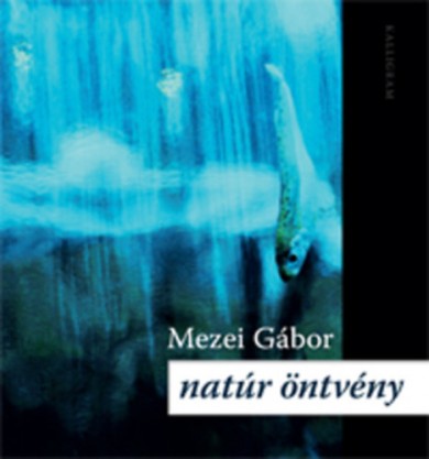 Könyv Natúr öntvény (Mezei Gábor)