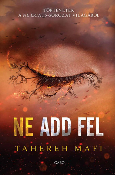 Könyv Ne add fel (Tahereh Mafi)