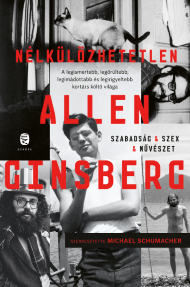 Könyv Nélkülözhetetlen Allen Ginsberg (Allen Ginsberg)