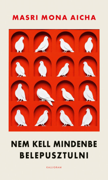 Könyv Nem kell mindenbe belepusztulni (Masri Mona Aicha)