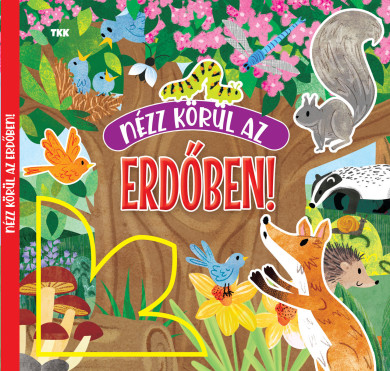 Könyv Nézz körül az erdőben!