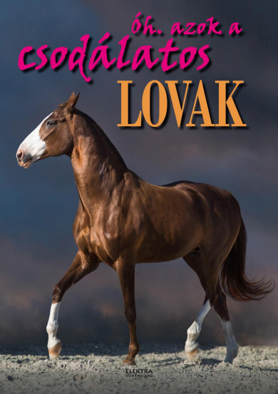 Könyv Óh, azok a csodálatos lovak (Bernáth István)