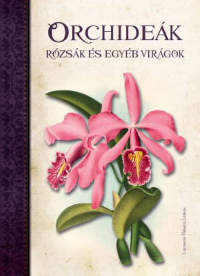 Könyv Orchideák, Rózsák és egyéb virágok (Lucrecia Pérsico Lamas)