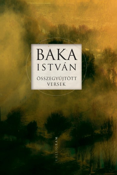 Könyv Összegyűjtött versek (Baka István)