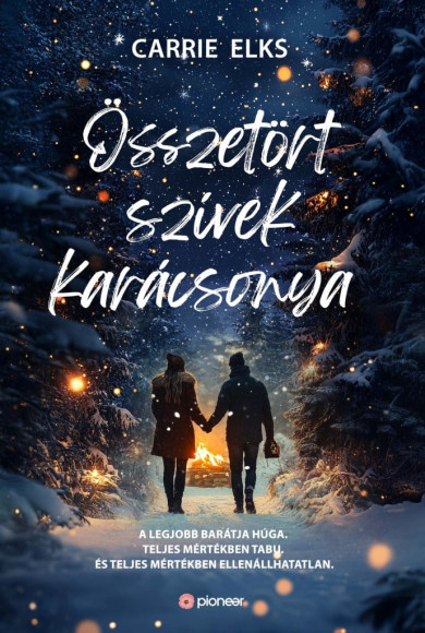 Könyv Összetört szívek karácsonya (Carrie Elks)