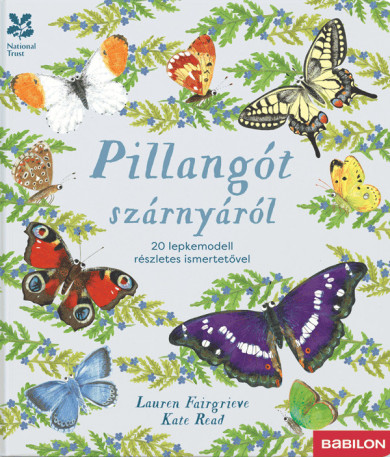 Könyv Pillangót szárnyáról - 20 lepkemodell részletes ismertetővel (Lauren F