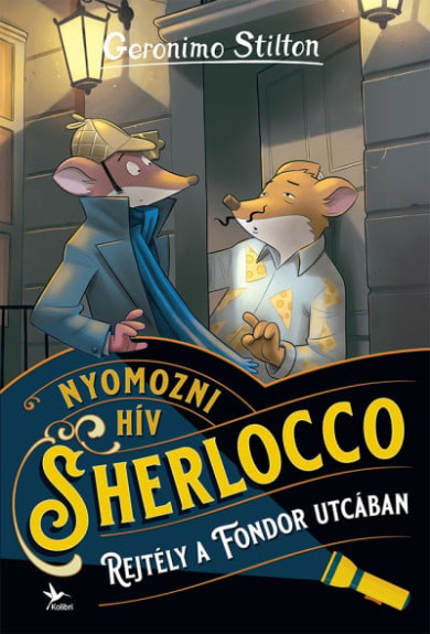 Könyv Rejtély a Fondor utcában (Geronimo Stilton)