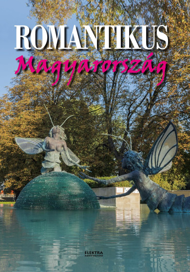 Könyv Romantikus Magyarország (Vida Péter)