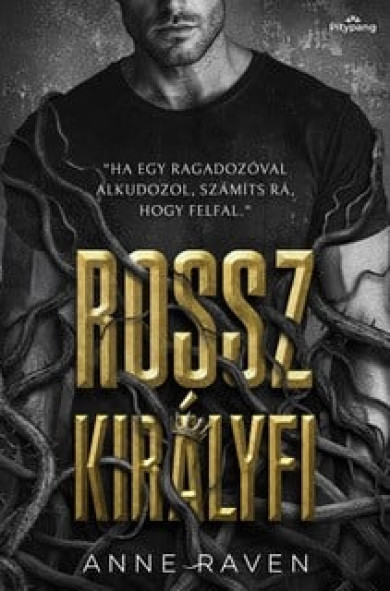 Könyv Rossz királyfi (Anne Raven)
