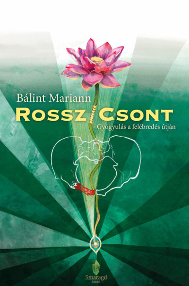 Könyv Rossz/csont (Bálint Mariann)
