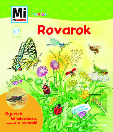 Könyv Rovarok - Kukucskáló ablakokkal - Mi Micsoda Junior (Brbel Oftring)