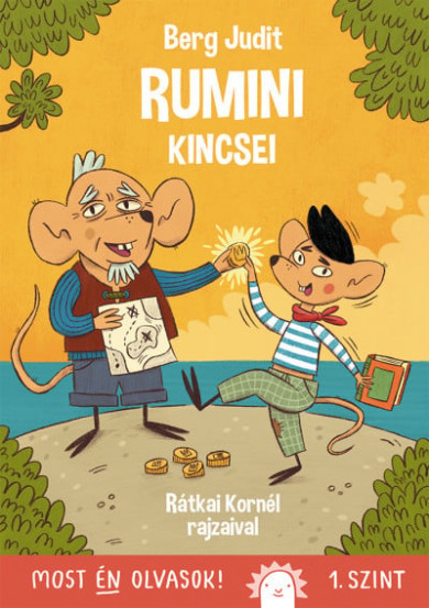 Könyv Rumini kincsei (Berg Judit)