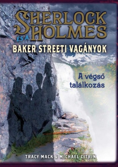 Könyv Sherlock Holmes és a Baker streeti vagányok 4. - A végső találkozás (T
