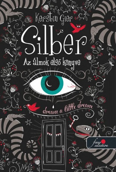 Könyv Silber - Az álmok első könyve (Kerstin Gier)