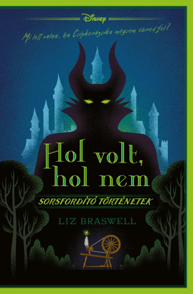 Könyv Sorsfordító történetek - Hol volt, hol nem - Disney (Liz Braswell)