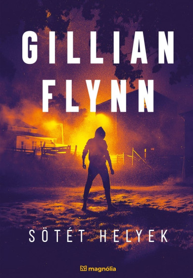 Könyv Sötét helyek (Gillian Flynn)
