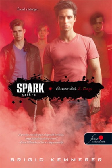 Könyv Spark - Szikra (Brigid Kemmerer)
