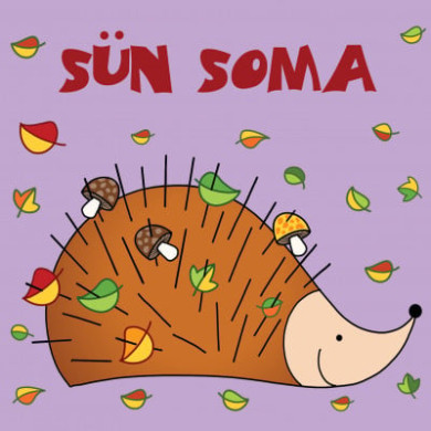 Könyv Sün Soma (Bartos Erika)