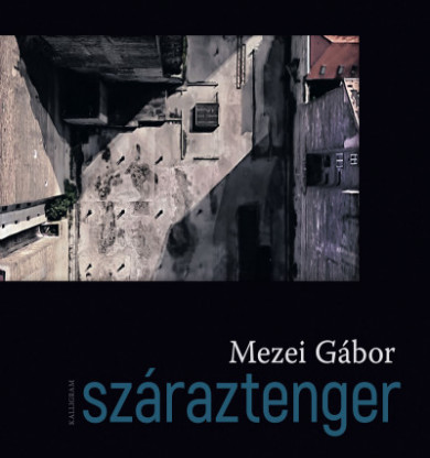 Könyv Száraztenger (Mezei Gábor)