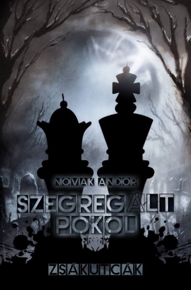 Könyv Szegregált pokol - Zsákutcák (Novák Andor)