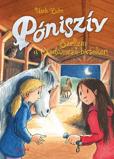 Könyv Szellem a Csodamező-birtokon (Usch Luhn)
