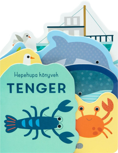 Könyv Tenger (Sally Payne)