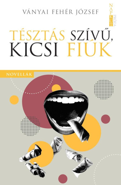 Könyv Tésztás szívű, kicsi fiúk (Ványai Fehér József)