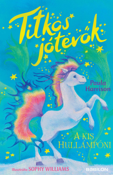 Könyv Titkos jótevők - A kis hullámpóni (Paula Harrison)