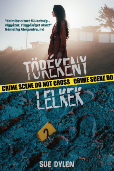 Könyv Törékeny lelkek (Sue Dylen)