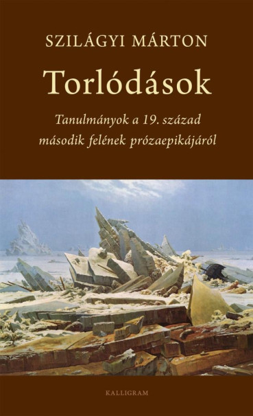 Könyv Torlódások (Szilágyi Márton)