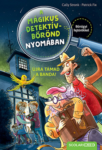 Könyv Újra támad a banda! (Cally Stronk)