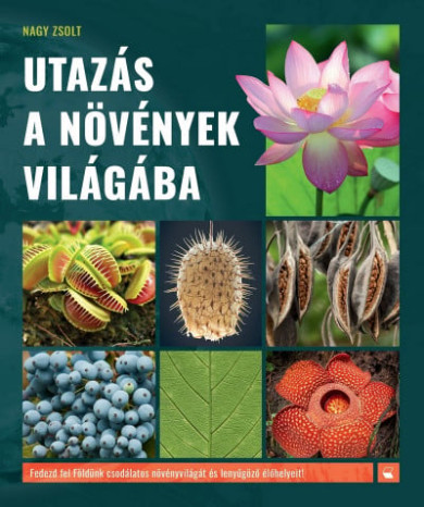 Könyv Utazás a növények világába (Nagy Zsolt)