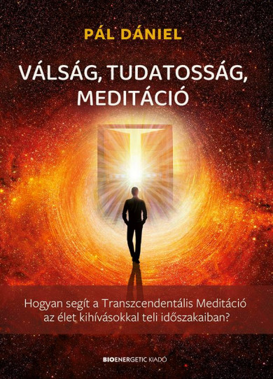 Könyv Válság, tudatosság, meditáció (Pál Dániel)