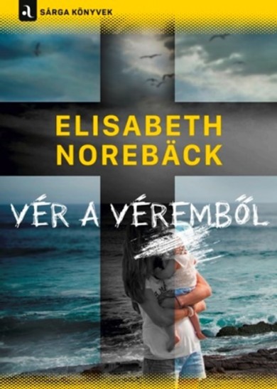 Könyv Vér a véremből (Elisabeth Norebck)