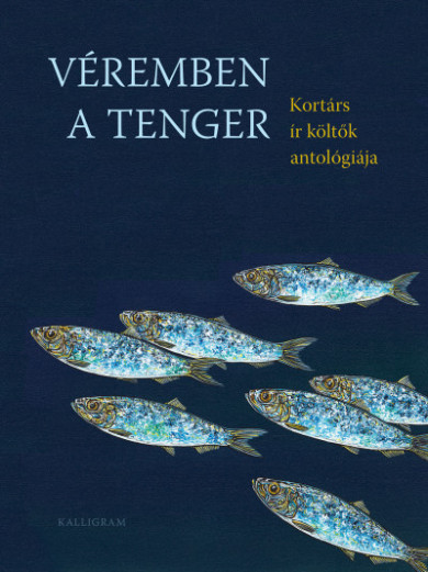 Könyv Véremben a tenger - Kortárs ír költők antológiája