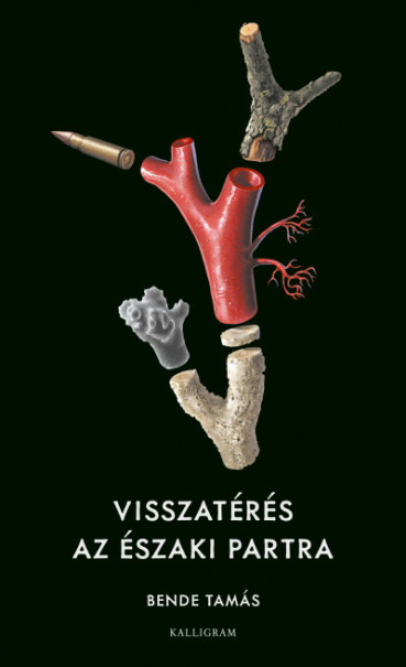 Könyv Visszatérés az északi partra (Bende Tamás)