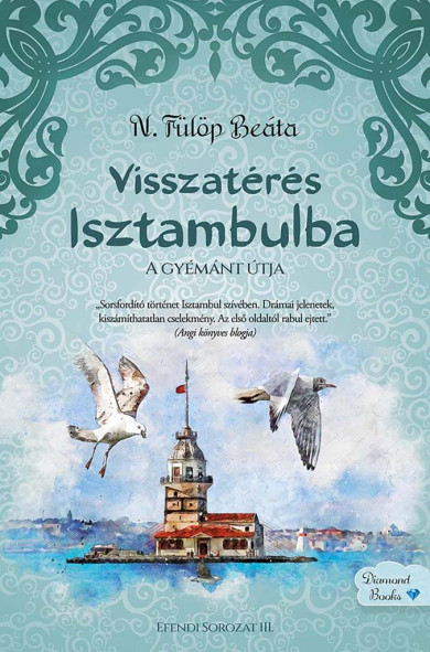 Könyv Visszatérés Isztambulba (N. Fülöp Beáta)