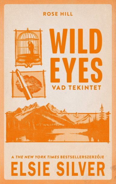 Könyv Wild Eyes - Vad tekintet - Éldekorált kiadás (Elsie Silver)