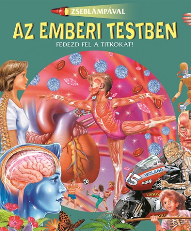 Könyv Zseblámpával - Az emberi testben