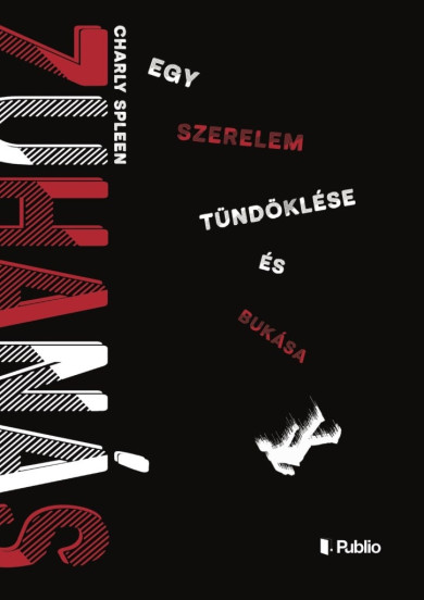 Könyv Zuhanás (Charly Spleen)