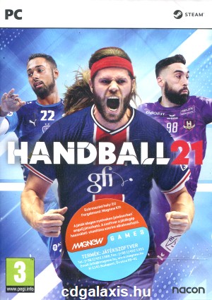 PC játék Handball 21